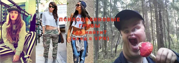 трава Алзамай
