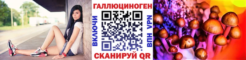 Галлюциногенные грибы Magic Shrooms  купить  цена  Тобольск 